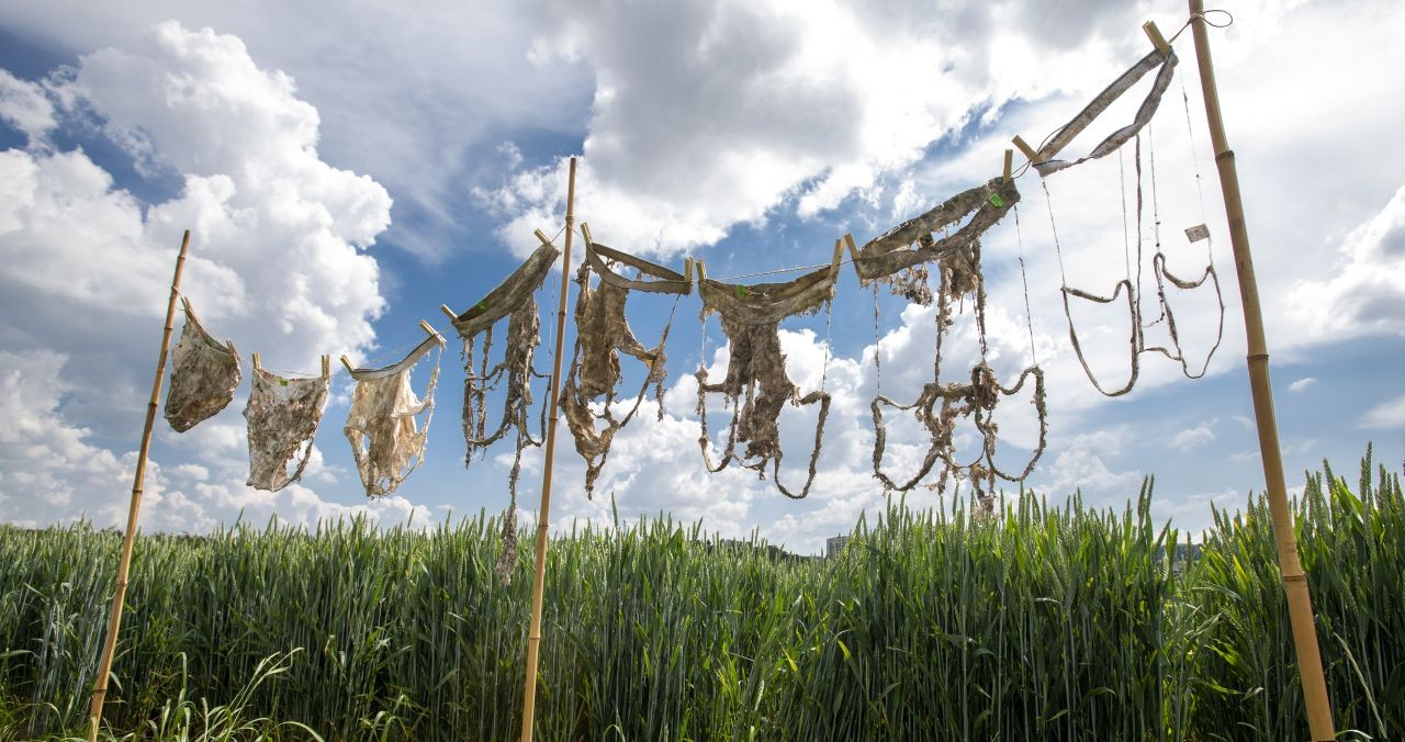 [Video]: Citizen Science Seminar: Citizen Science als Geschäftsmodell?